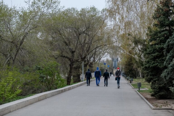 В Волгограде провели опрос о квадроберах: как жители относятся к новому тренду?