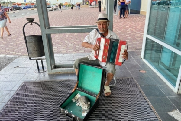 В Волгограде необычный музыкант играет на гармошке у прохожих на виду