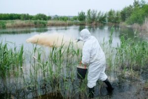 В Волгоградской области водоемы начали обрабатывать от клещей и комаров