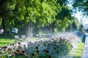 Волгоградские парки получат в 2018 году 20 тысяч метров поливочного водопровода