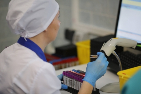 В Волгограде предупредили о риске нового штамма птичьего гриппа