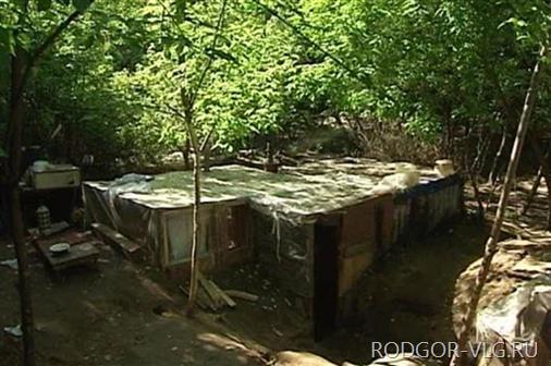 Под Волгоградом в землянках жили более 200 гастарбайтеров