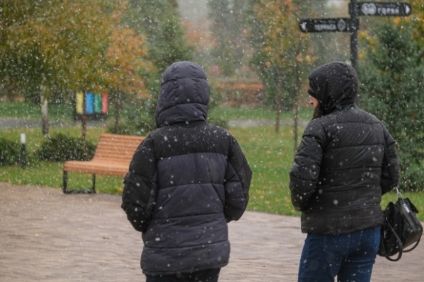 Волгоградцы подвержены риску заражения чесоткой, грибком и бактериями через одежду