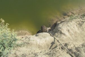 Из-за ссоры с девушкой волгоградец убил друга, «подстроив» его суицид