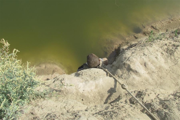 Из-за ссоры с девушкой волгоградец убил друга, «подстроив» его суицид