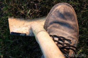 Под Волгоградом родители закопали 4-месячную дочь в огороде