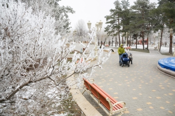 Температура в Волгограде опустится до -2