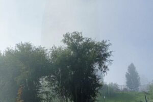 На Волгоград 15 октября опустился первый осенний туман