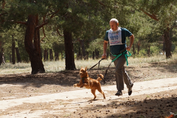 В Волгограде соревновались биатлонисты с собаками