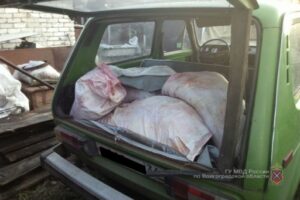 За убийство лося волгоградцу грозит крупный штраф или арест на полгода