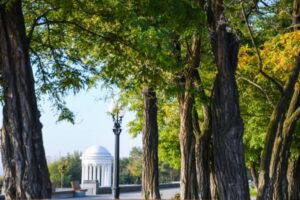 Летний привет: в Волгоградской области ожидается потепление до +17°