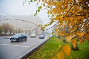 О чем стоит помнить осенью на дороге волгоградцам