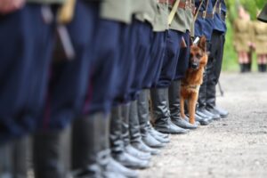 В Волгограде разыскивают пенсионера