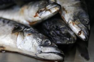 Названа лучшая рыба для борьбы с воспалением в организме