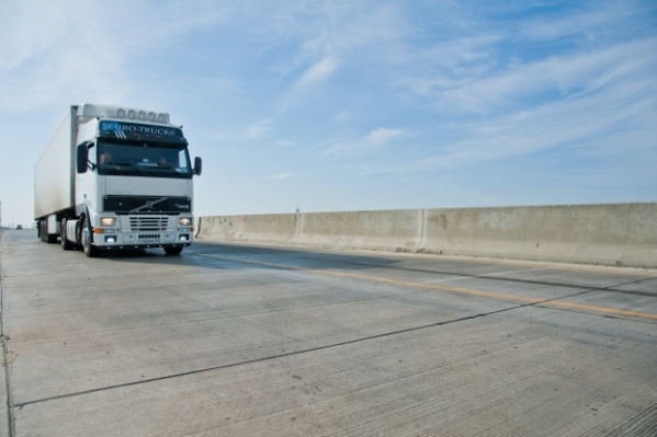 Выброшенные возле трассы раки возмутили волгоградцев