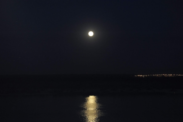 Волгоградцы смогут увидеть «оленье суперлуние»