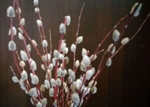 Вербоносица: что нужно и чего нельзя делать 21 марта