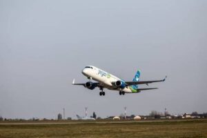 Самолет, летевший в Волгоград из Москвы, столкнулся с птицей
