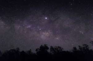 Жители Волгоградской области смогут наблюдать в небе спутники Илона Маска