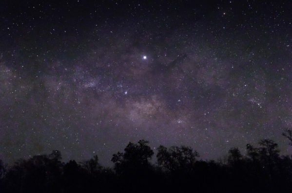 Жители Волгоградской области смогут наблюдать в небе спутники Илона Маска