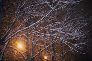 На дорогах гололедица: какая погода ждет волгоградцев в середине недели