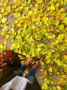 Конкурс «Яркая осень в Волгограде»: прием работ продлится еще 2 дня