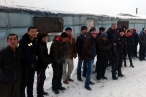 На ферме под Волгоградом работали 29 нелегальных мигрантов