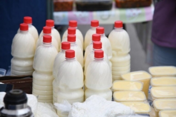В Волгограде выявили опасную партию сметаны