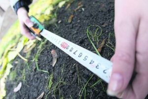 Участок земли в центре Волгограда возвращён в госсобственность