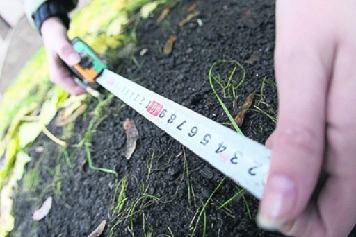 Участок земли в центре Волгограда возвращён в госсобственность