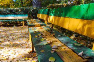 В начале недели в Волгограде ожидается сухая погода при +19°