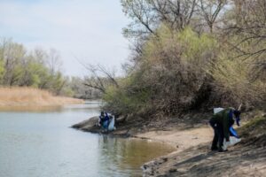 В Волгоградской области пройдет экофестиваль «Вода России»