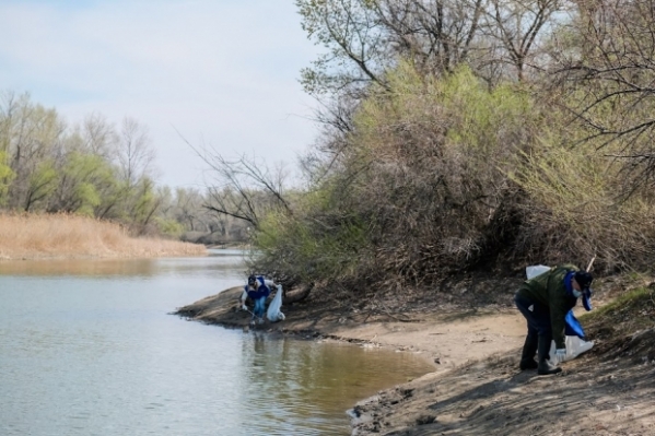 В Волгоградской области пройдет экофестиваль «Вода России»