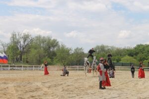 В Кремлевской школе верховой езды «рулят» волгоградцы