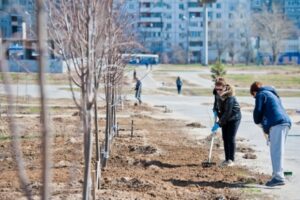 Губернатор Бочаров поручил провести субботники по всей области