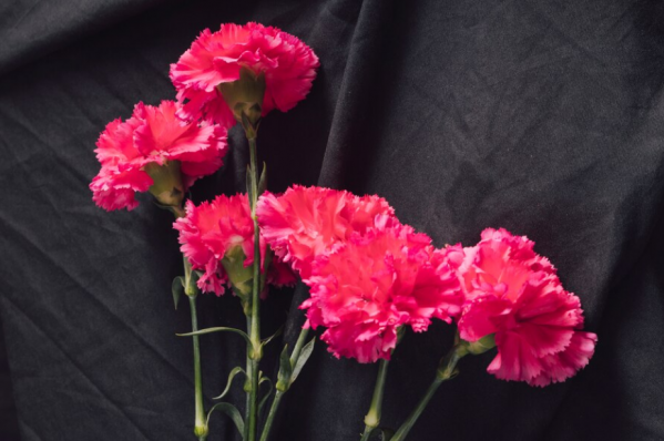 В Волгоградской области скончался сын известного летчика Алексея Маресьева