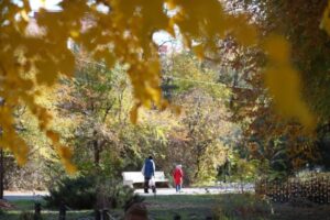 В Волгоградскую область идут морозы до -5 градусов