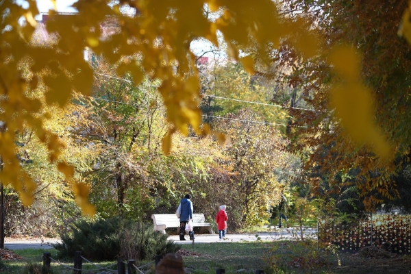 В Волгоградскую область идут морозы до -5 градусов