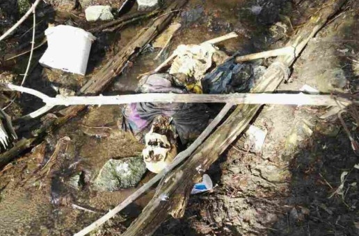 В пойме реки Царица в Волгограде обнаружен скелет человека