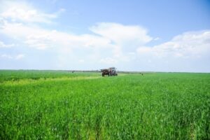 Сезон дождей кончился: новая неделя принесет в Волгоград солнце