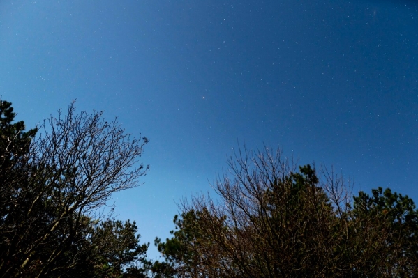 В Волгограде ожидают появление кометы ATLAS 13 января