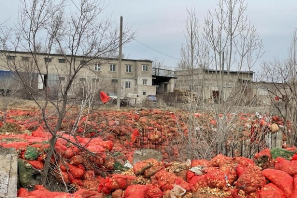В Волгограде устранили свалку из гниющего лука