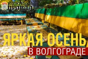 300 разных поз волгоградцев и волгоградок попали в интернет из-за конкурса