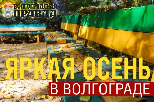 300 разных поз волгоградцев и волгоградок попали в интернет из-за конкурса