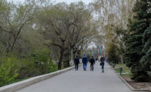 Индекс самоизоляции в Волгограде оказался в «красной» зоне