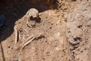 Археологи безвозмездно раскопают «клад» жителю Урюпинска