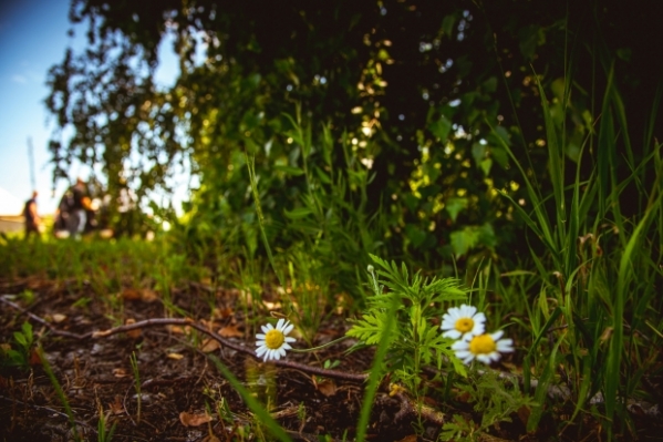 На смену похолоданию в Волгоградскую область придет тепло