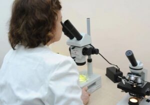 Ученые выявили три любимых продукта, которые опасны для мозга человека