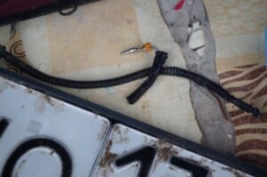 Бездомные собаки поцарапали волгоградке автомобиль
