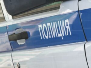 Волгоградец, отрубивший голову старушке, признан невменяемым